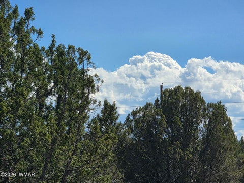Tiny photo for 1 8063 Road, Vernon, AZ 85940 (MLS # 263432)