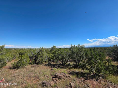 Photo of 1 8063 Road, Vernon, AZ 85940 (MLS # 263432)