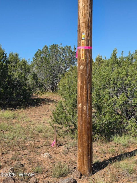 Tiny photo for 1 8063 Road, Vernon, AZ 85940 (MLS # 263432)