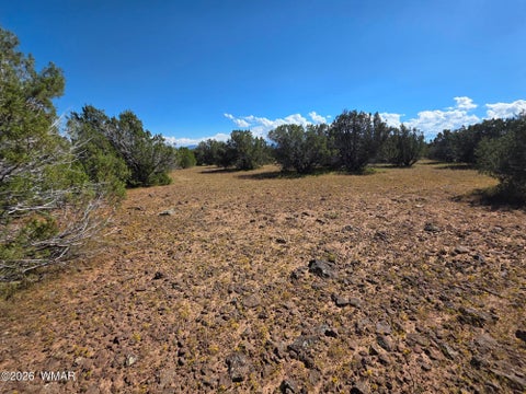 Tiny photo for 1 8063 Road, Vernon, AZ 85940 (MLS # 263432)