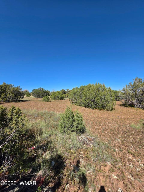 Tiny photo for 1 8063 Road, Vernon, AZ 85940 (MLS # 263432)