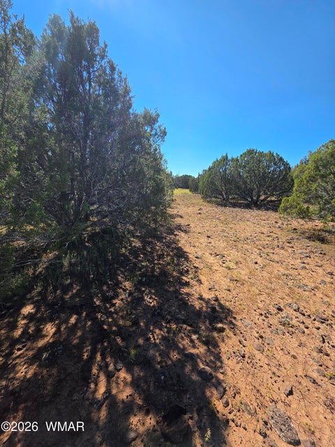 Tiny photo for 1 8063 Road, Vernon, AZ 85940 (MLS # 263432)
