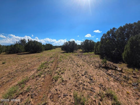 Tiny photo for 1 8063 Road, Vernon, AZ 85940 (MLS # 263432)