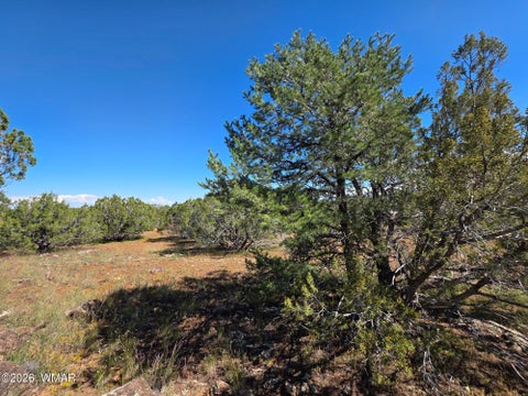 Tiny photo for 1 8063 Road, Vernon, AZ 85940 (MLS # 263432)