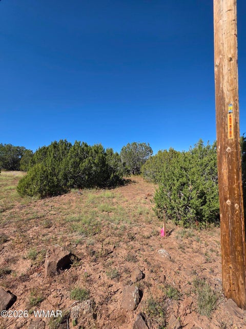 Tiny photo for 1 8063 Road, Vernon, AZ 85940 (MLS # 263432)