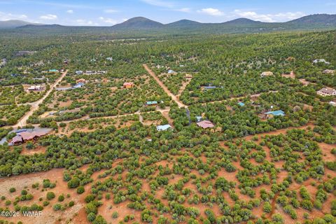 Tiny photo for 15 County Road 3183, Vernon, AZ 85940 (MLS # 259094)