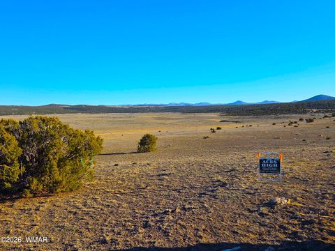 Tiny photo for TBD Bunkhouse Road, Show Low, AZ 85901 (MLS # 259419)