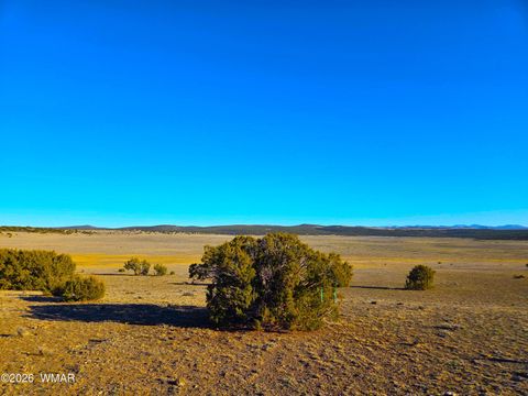 Tiny photo for TBD Bunkhouse Road, Show Low, AZ 85901 (MLS # 259419)