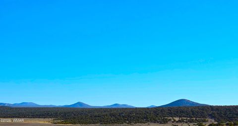Tiny photo for TBD Bunkhouse Road, Show Low, AZ 85901 (MLS # 259419)