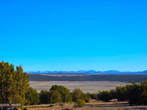 Photo of TBD Bunkhouse Road, Show Low, AZ 85901 (MLS # 259419)