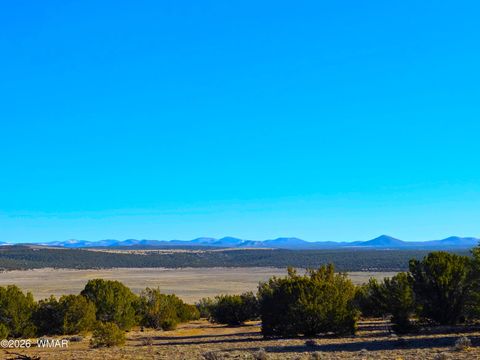 Tiny photo for TBD Bunkhouse Road, Show Low, AZ 85901 (MLS # 259419)