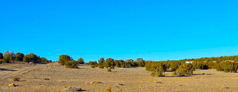 Tiny photo for TBD Bunkhouse Road, Show Low, AZ 85901 (MLS # 259419)