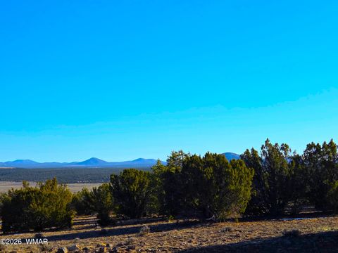 Tiny photo for TBD Bunkhouse Road, Show Low, AZ 85901 (MLS # 259419)