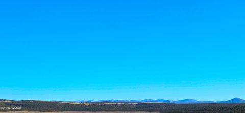 Tiny photo for TBD Bunkhouse Road, Show Low, AZ 85901 (MLS # 259419)