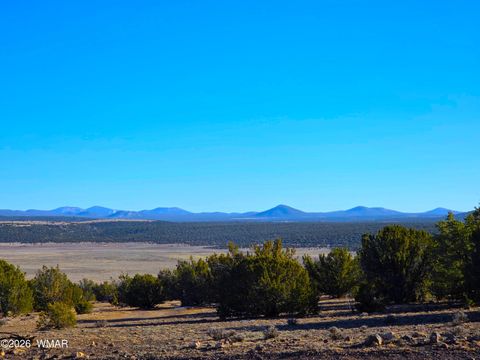 Tiny photo for TBD Bunkhouse Road, Show Low, AZ 85901 (MLS # 259419)