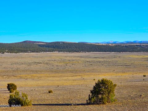 Tiny photo for TBD Bunkhouse Road, Show Low, AZ 85901 (MLS # 259419)