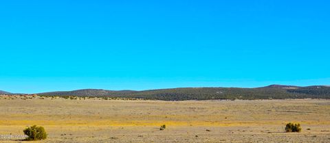 Tiny photo for TBD Bunkhouse Road, Show Low, AZ 85901 (MLS # 259419)