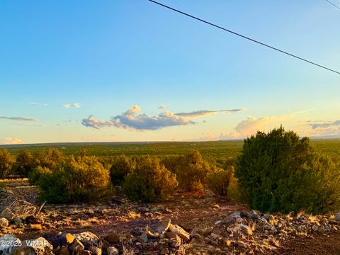 Tiny photo for 0 WEBER RD. LOT A 5 ACRES, Show Low, AZ 85901 (MLS # 257768)
