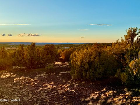 Tiny photo for 0 WEBER RD. LOT A 5 ACRES, Show Low, AZ 85901 (MLS # 257768)