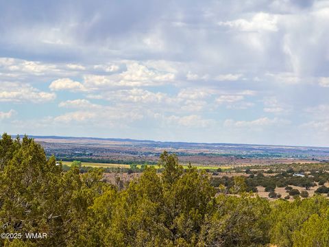 Tiny photo for 0 WEBER RD. LOT A 5 ACRES, Show Low, AZ 85901 (MLS # 257768)