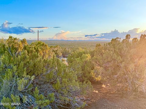 Tiny photo for 0 WEBER RD. LOT A 5 ACRES, Show Low, AZ 85901 (MLS # 257768)