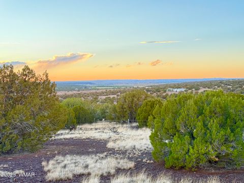 Tiny photo for 0 WEBER RD. LOT A 5 ACRES, Show Low, AZ 85901 (MLS # 257768)