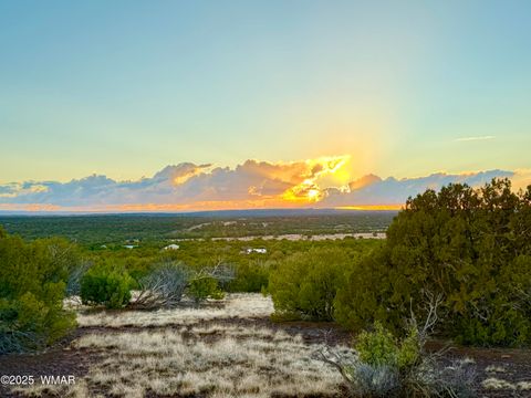 Tiny photo for 0 WEBER RD. LOT A 5 ACRES, Show Low, AZ 85901 (MLS # 257768)