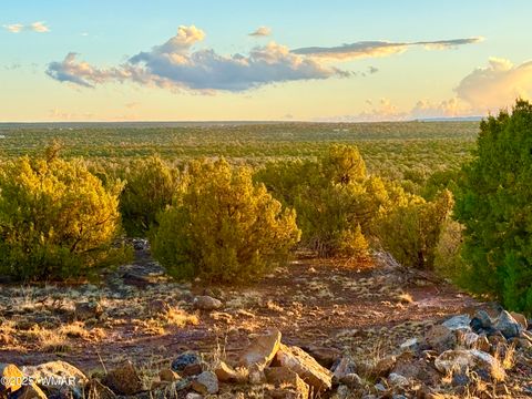 Photo of 0 WEBER RD. LOT A 5 ACRES, Show Low, AZ 85901 (MLS # 257768)