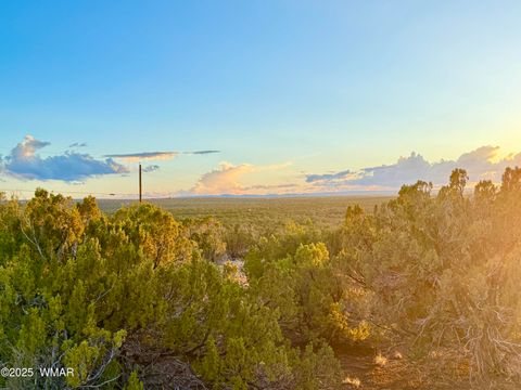Tiny photo for 0 WEBER RD. LOT A 5 ACRES, Show Low, AZ 85901 (MLS # 257768)