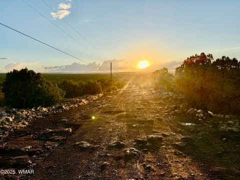 Tiny photo for 0 WEBER RD. LOT A 5 ACRES, Show Low, AZ 85901 (MLS # 257768)