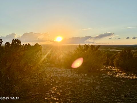 Tiny photo for 0 WEBER RD. LOT A 5 ACRES, Show Low, AZ 85901 (MLS # 257768)