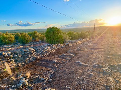Tiny photo for 0 WEBER RD. LOT A 5 ACRES, Show Low, AZ 85901 (MLS # 257768)