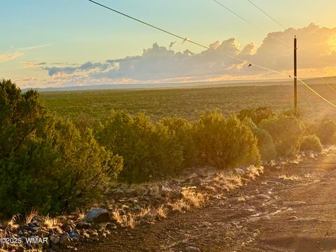 Tiny photo for 0 WEBER RD. LOT A 5 ACRES, Show Low, AZ 85901 (MLS # 257768)
