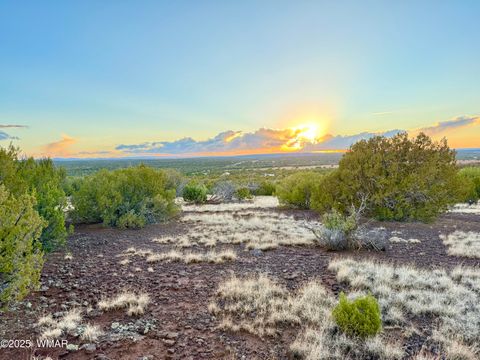 Tiny photo for 0 WEBER RD. LOT A 5 ACRES, Show Low, AZ 85901 (MLS # 257768)