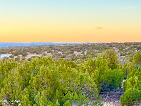 Tiny photo for 0 WEBER RD. LOT A 5 ACRES, Show Low, AZ 85901 (MLS # 257768)