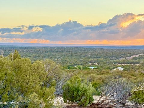 Tiny photo for 0 WEBER RD. LOT A 5 ACRES, Show Low, AZ 85901 (MLS # 257768)