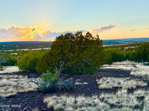 Tiny photo for 0 WEBER RD. LOT A 5 ACRES, Show Low, AZ 85901 (MLS # 257768)