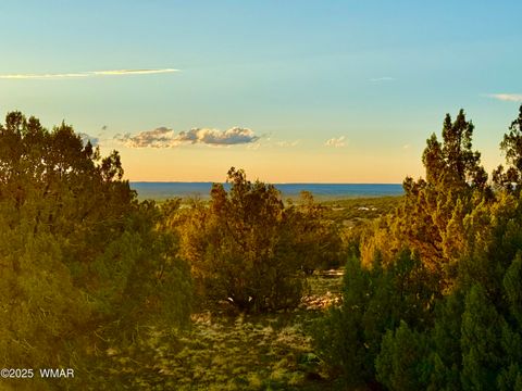 Tiny photo for 0 WEBER RD. LOT A 5 ACRES, Show Low, AZ 85901 (MLS # 257768)