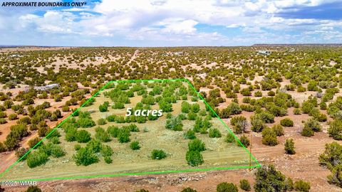 Tiny photo for 0 WEBER RD. LOT A 5 ACRES, Show Low, AZ 85901 (MLS # 257768)