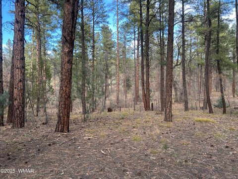 Photo of 4041 S Gold Dust Trail, Show Low, AZ 85901 (MLS # 258661)