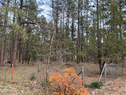 Tiny photo for 4041 S Gold Dust Trail, Show Low, AZ 85901 (MLS # 258661)