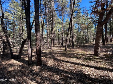 Tiny photo for 4041 S Gold Dust Trail, Show Low, AZ 85901 (MLS # 258661)