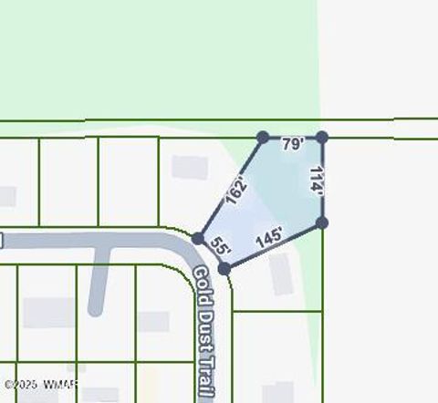 Tiny photo for 4041 S Gold Dust Trail, Show Low, AZ 85901 (MLS # 258661)