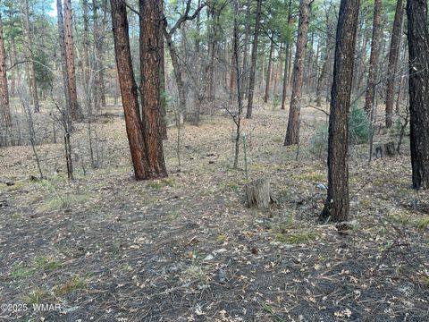 Tiny photo for 4041 S Gold Dust Trail, Show Low, AZ 85901 (MLS # 258661)