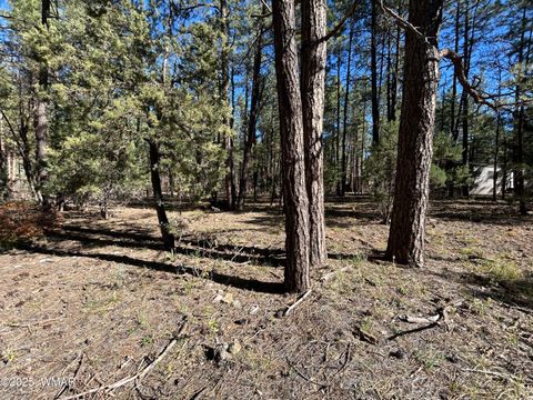 Tiny photo for 4041 S Gold Dust Trail, Show Low, AZ 85901 (MLS # 258661)