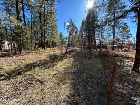 Tiny photo for 4041 S Gold Dust Trail, Show Low, AZ 85901 (MLS # 258661)