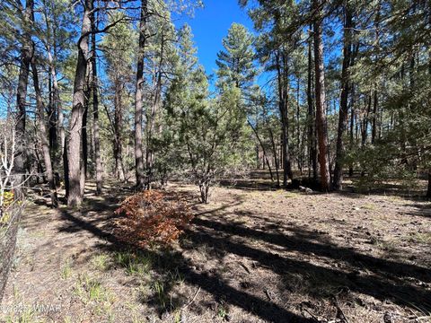 Tiny photo for 4041 S Gold Dust Trail, Show Low, AZ 85901 (MLS # 258661)