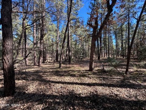 Tiny photo for 4041 S Gold Dust Trail, Show Low, AZ 85901 (MLS # 258661)