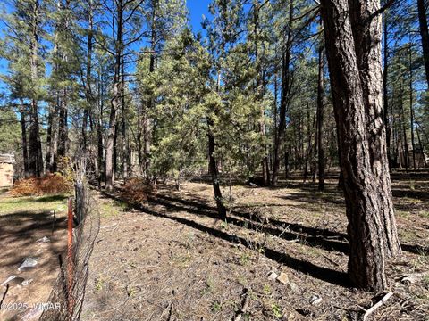 Tiny photo for 4041 S Gold Dust Trail, Show Low, AZ 85901 (MLS # 258661)