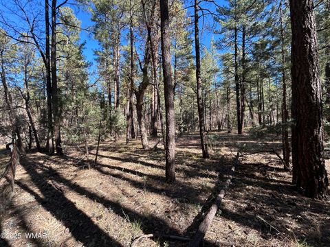 Tiny photo for 4041 S Gold Dust Trail, Show Low, AZ 85901 (MLS # 258661)